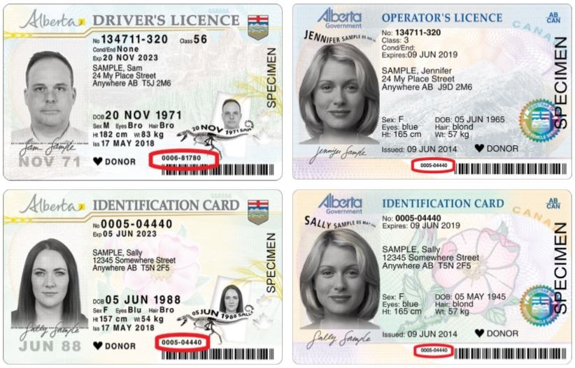 how much is a class 1 drivers license
